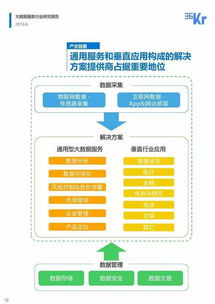 大數(shù)據(jù)服務行業(yè)研究報告